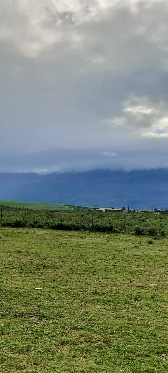 0 Bedroom Property for Sale in Swellendam Rural Western Cape